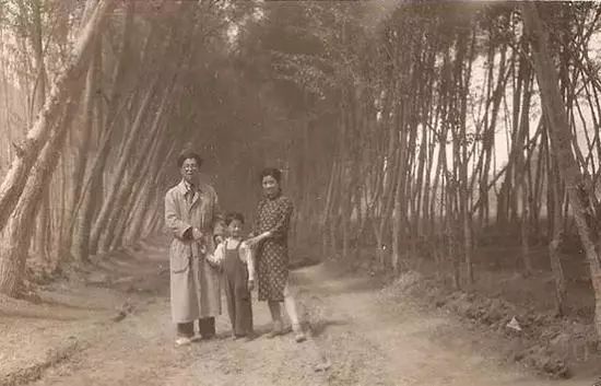 圖片18.jpg